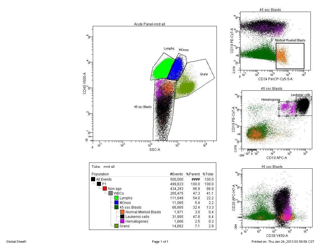 Flow Cytometry, Bone Marrow Aspirate